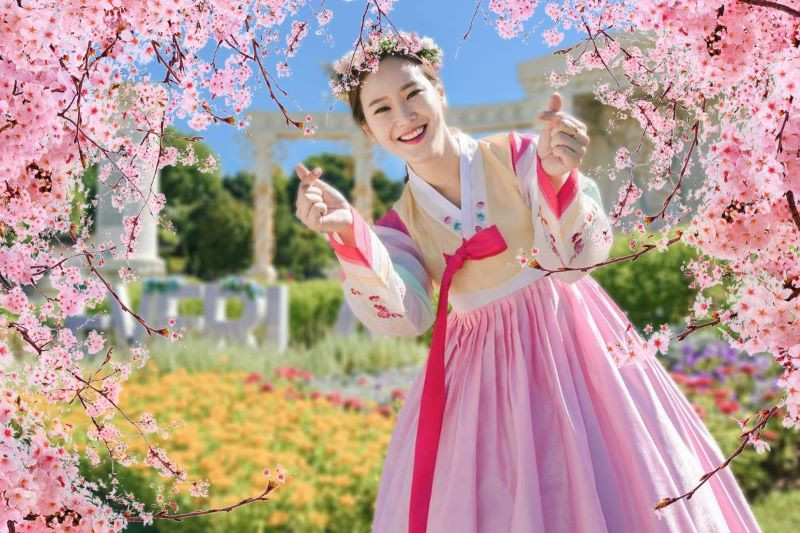 Mùa xuân Hàn Quốc với mùa hoa anh đào tuyệt đẹp 